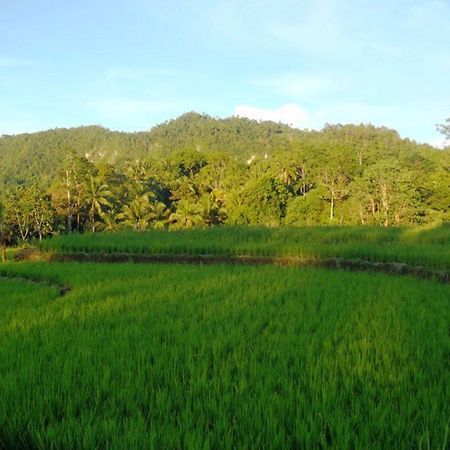 Bohol Paradise Hills Resort And Hotel Garcia Hernandez Екстериор снимка